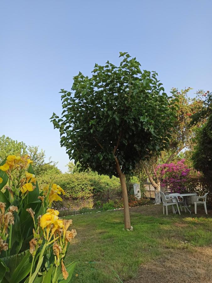 פרבזה Beach House Into The Green! מראה חיצוני תמונה